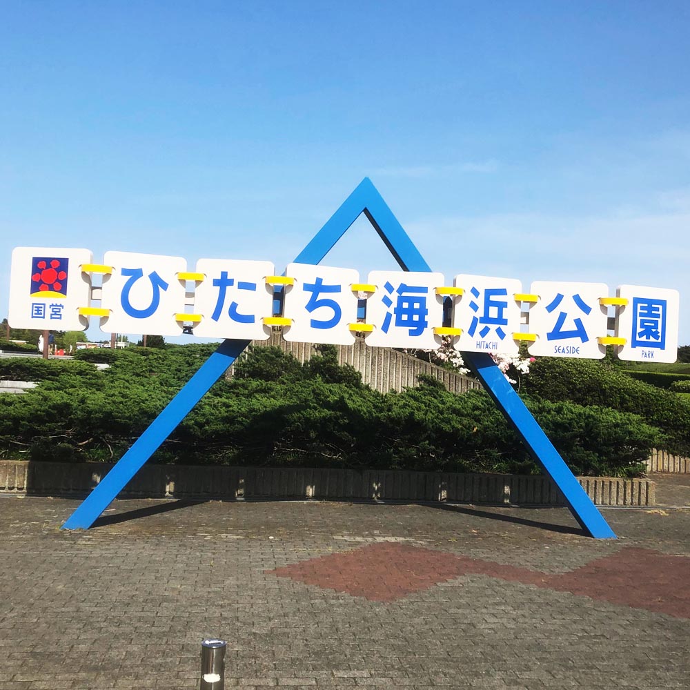 国営ひたち海浜公園.jpg
