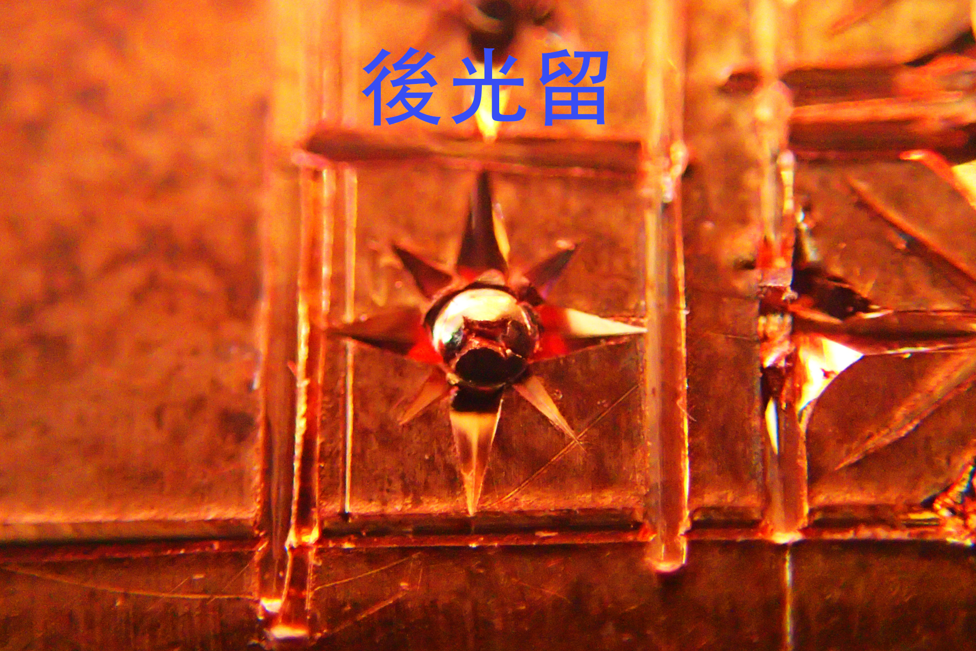 2026.5.4後光留.jpg
