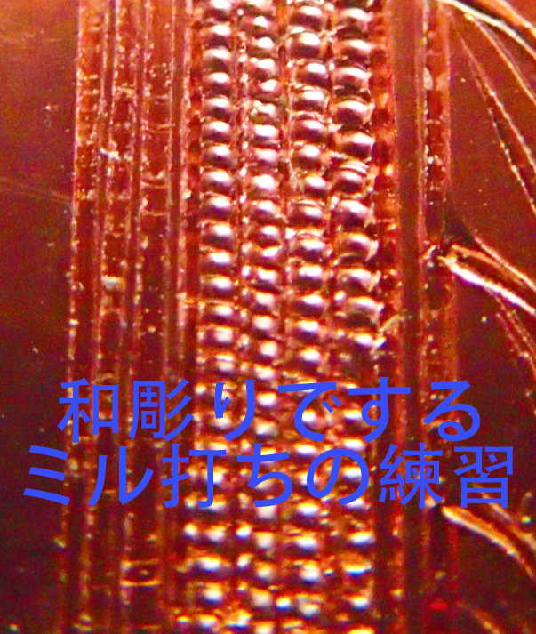 P5170014 のコピー.jpg