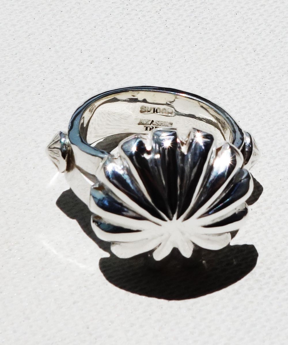 SV1000 SHELL RING(純銀製シェルリング)｜COLOR-SILVER｜AKASHIC TREE